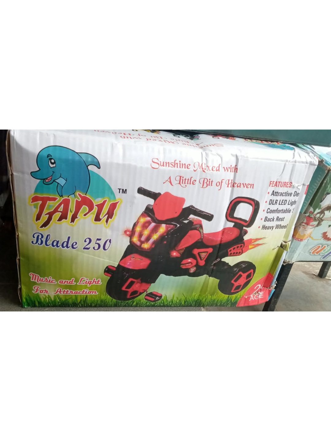 Kittytoy Bike Foy For Kids